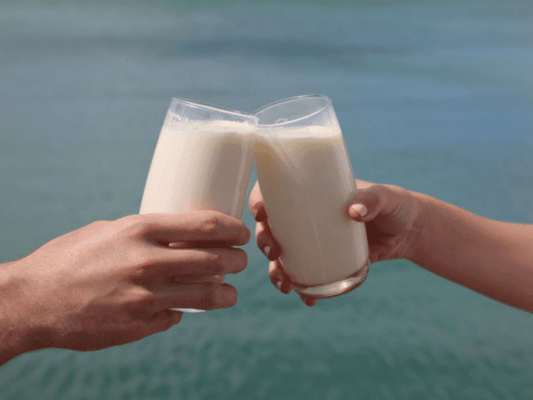Camel milk vs Cow milk