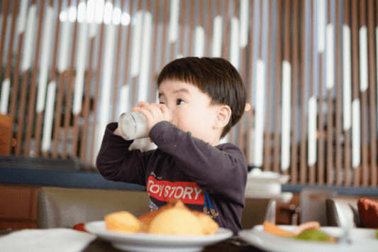 Camel Milk: Is it actually an Immune Booster? - Aadvik Foods