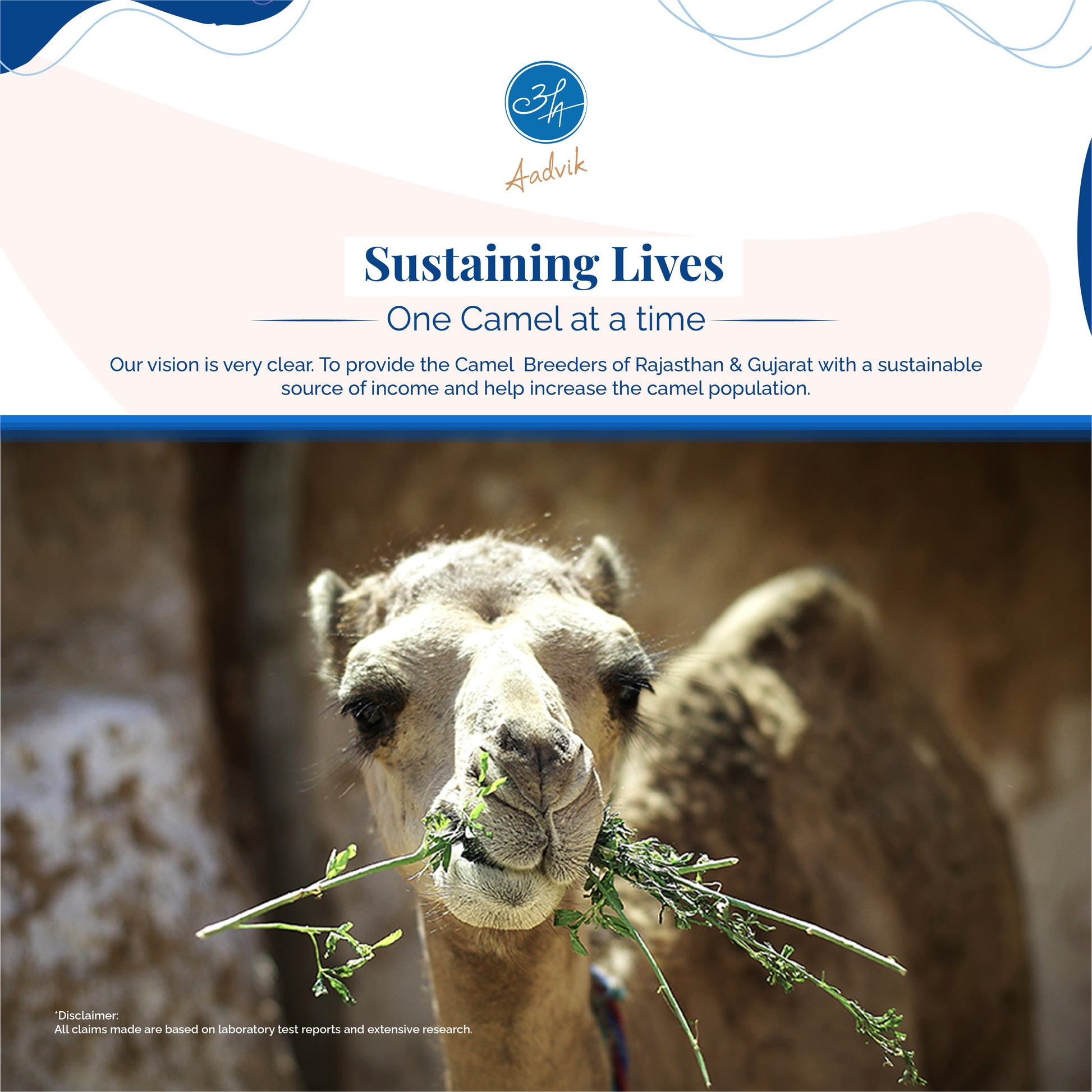 Camel milk breeder of rajasthan