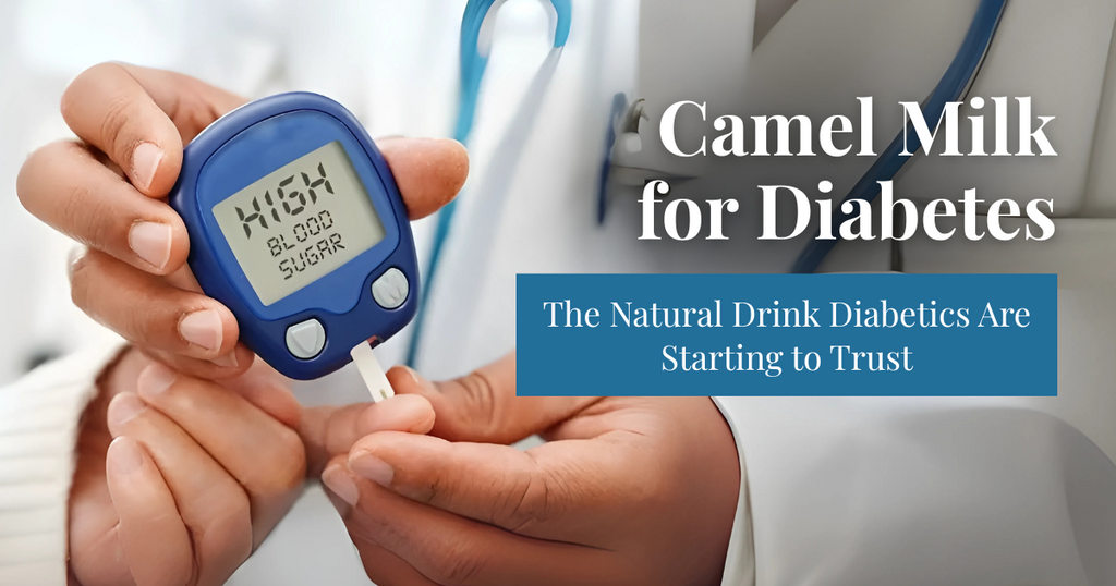 Camel Milk for Diabetes: Can It Help Control Blood Sugar Naturally?
