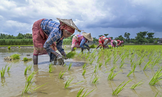 Agri Industry Reacts to Budget 