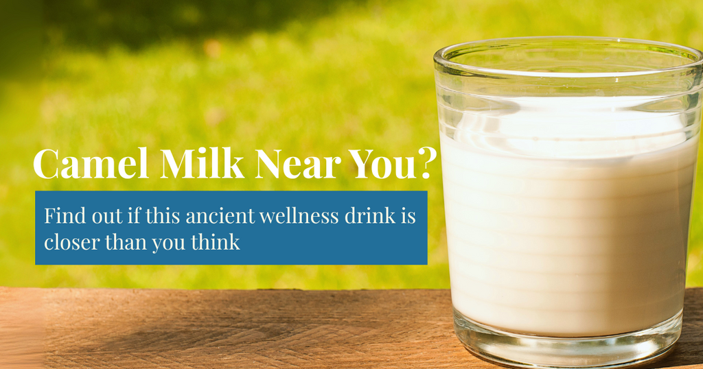 Is Camel Milk Available Near Me?