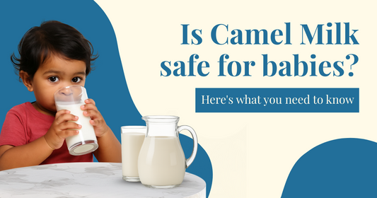 Camel Milk Safe for Babies