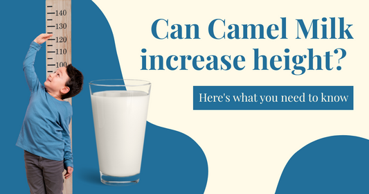 camel milk for height growth