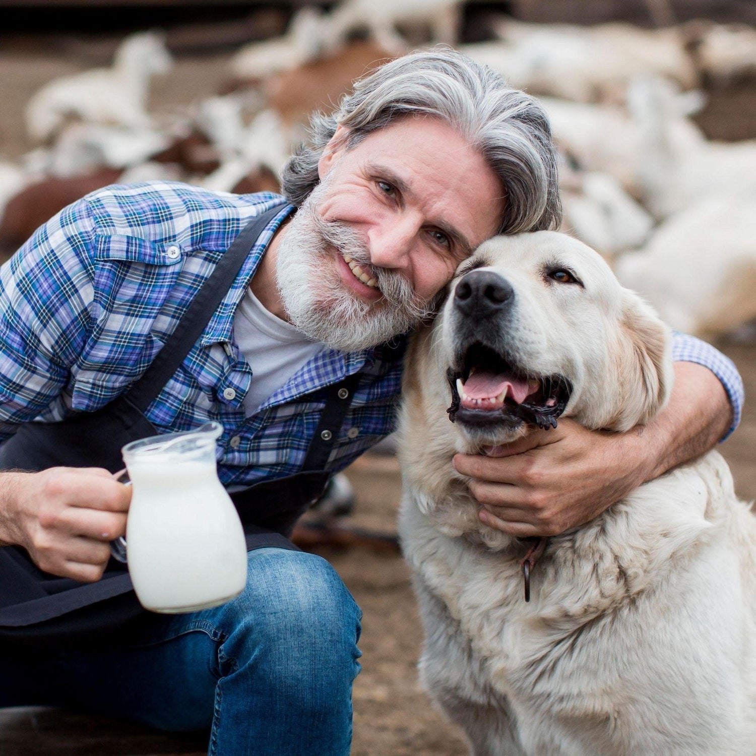 Is Raw Goat Milk Good For Puppies