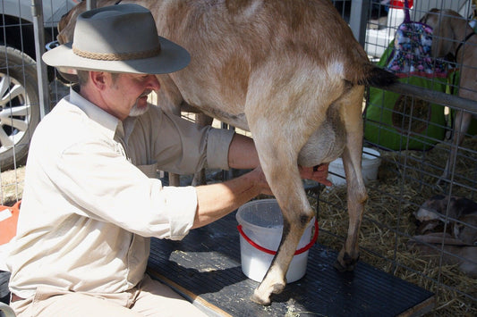 Is goat milk healthier than cow milk?
