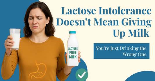 Healthy milk alternative for sensitive stomachs