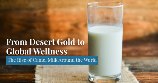 Camel milk from desert to global market