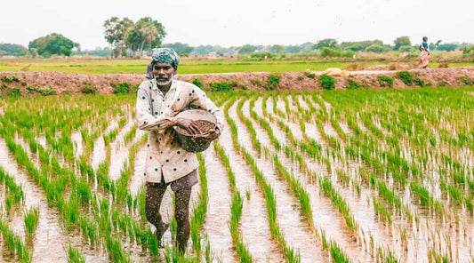 Business Insider - Agri industry & experts give a mixed bag of responses on budget