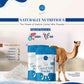 Camel Milk Powder | Pure & Natural