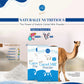 Healthy camel milk powder