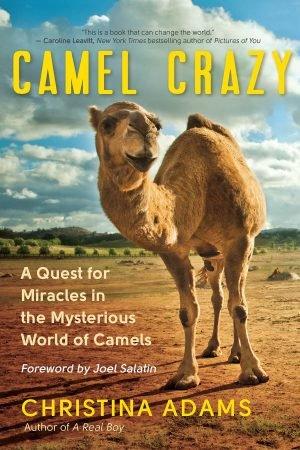 Camel Crazy : A Quest for Miracles in the Mysterious World of Camels - Aadvik Foods