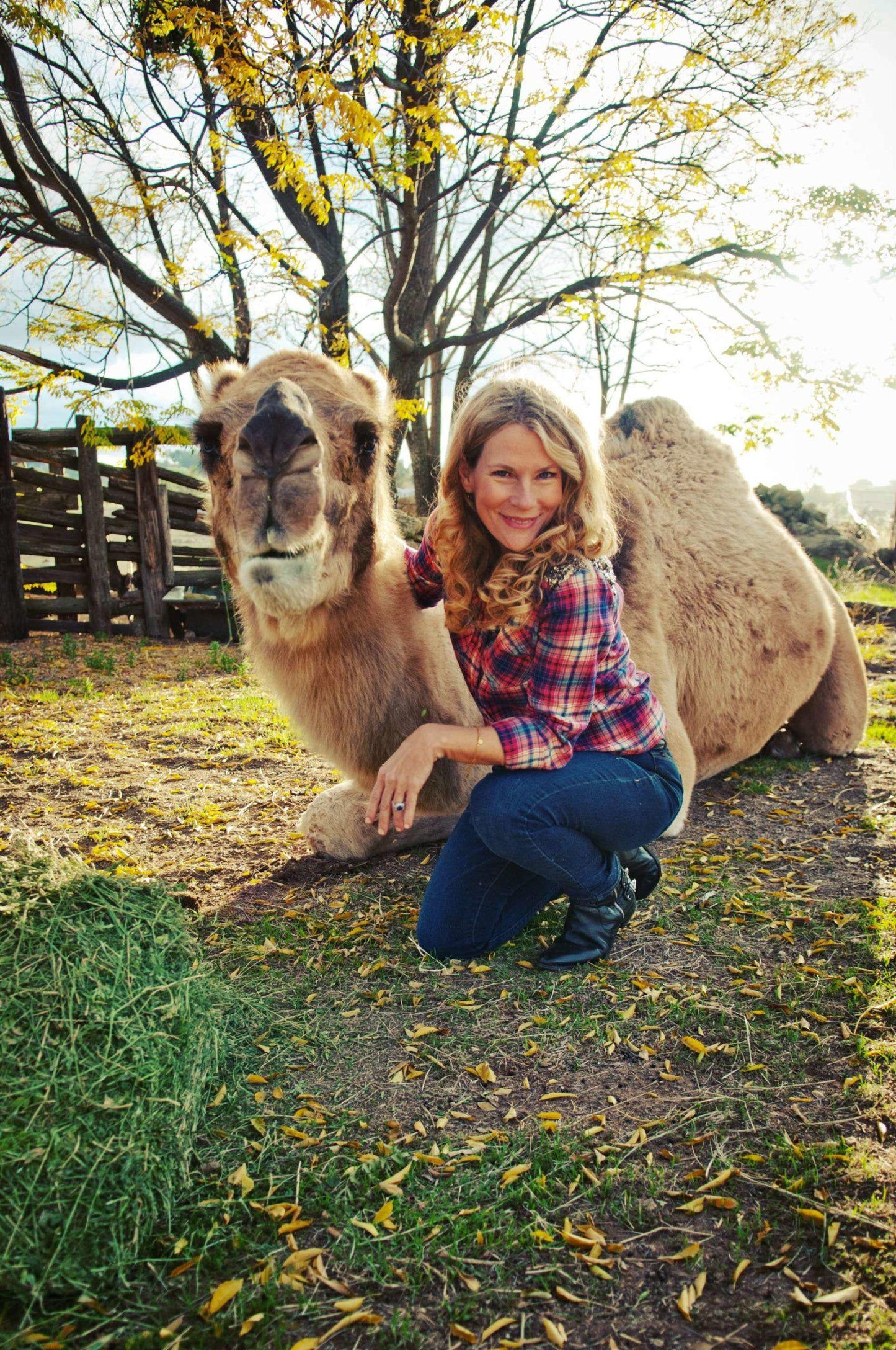 Camel-Crazy-author-ChristinaAdams